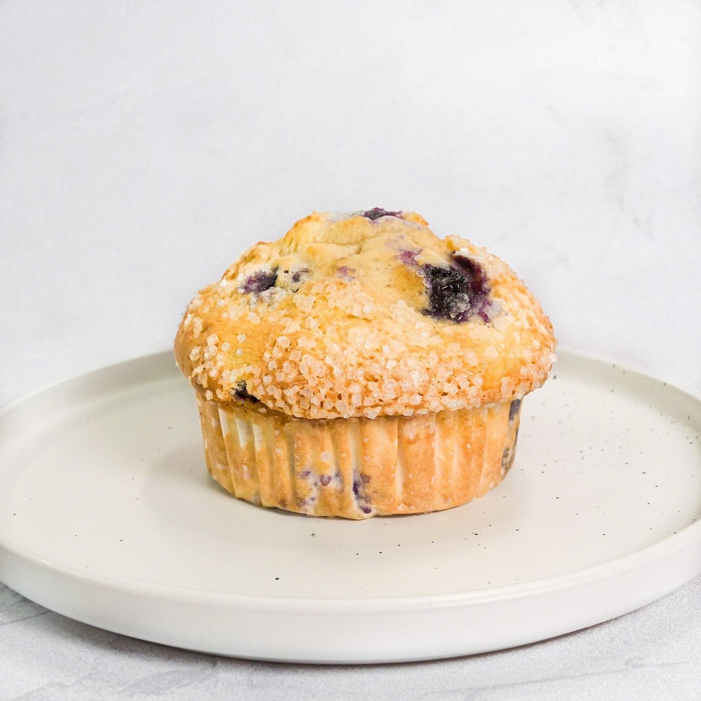 Blueberry Muffin